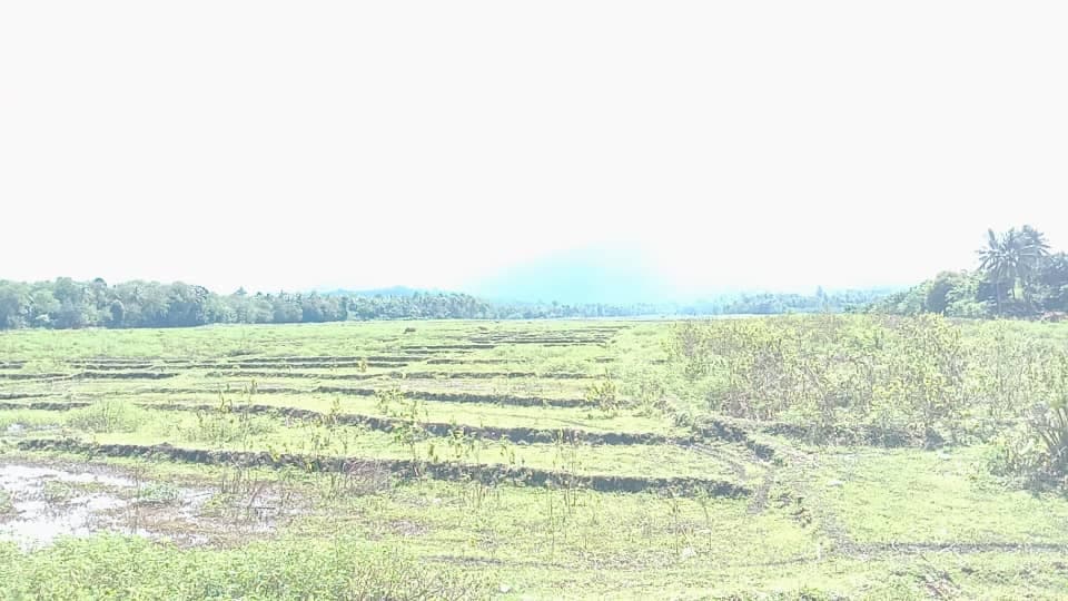 七省土壤可行性研究启动 预算60万美元