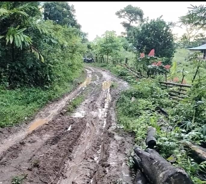西里马纳15公里道路路况差，村民盼修复