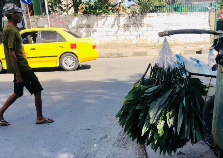 帝力棕枝上市忙，小贩沿街叫卖