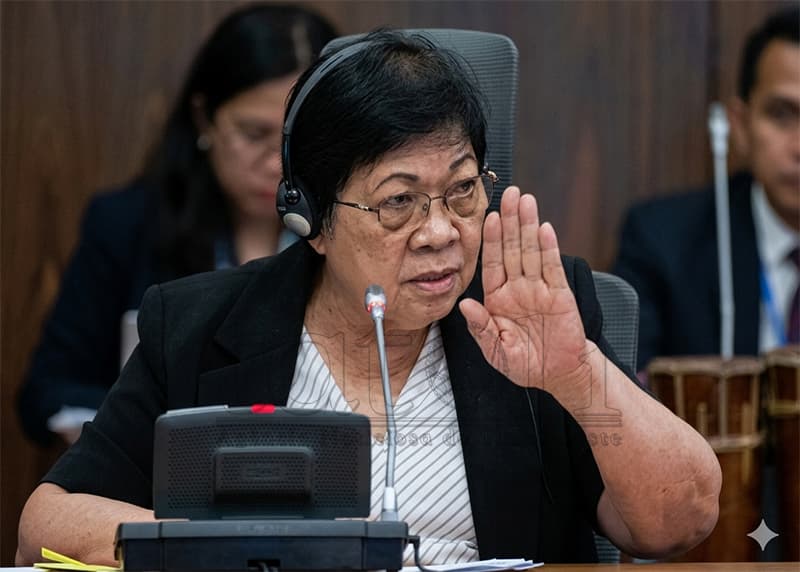 议长：诽谤刑事化法案下周开始一般性讨论