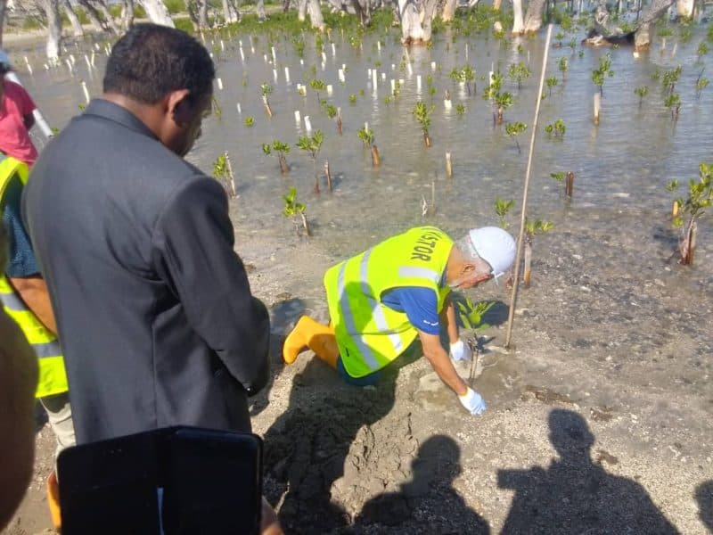 总理赞赏蒂马尔港公司种植红树林保护生态