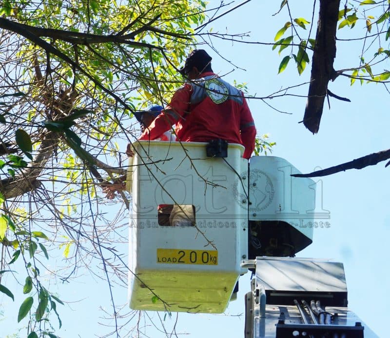 EDTL：欧库西停电10小时，因开关烧坏