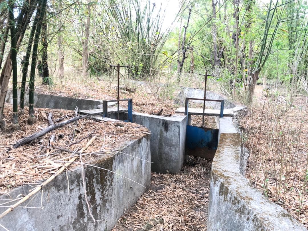局长：利基萨1323公顷稻田因缺水荒废