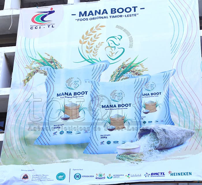 “Mana Boot”大米生产停滞,东帝汶工商会推动私人投资