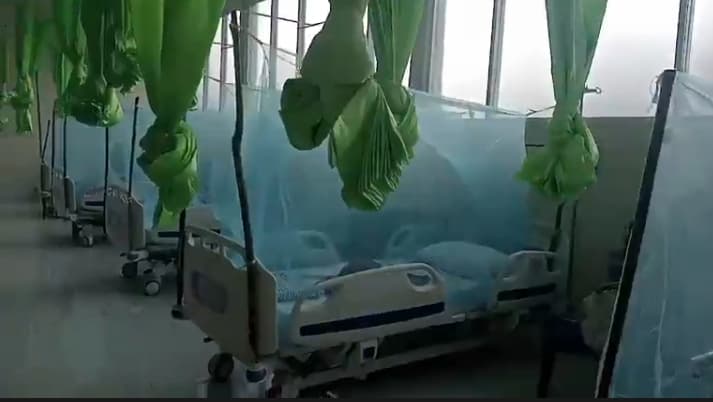 欧库西登革热病例升至60例,1人死亡