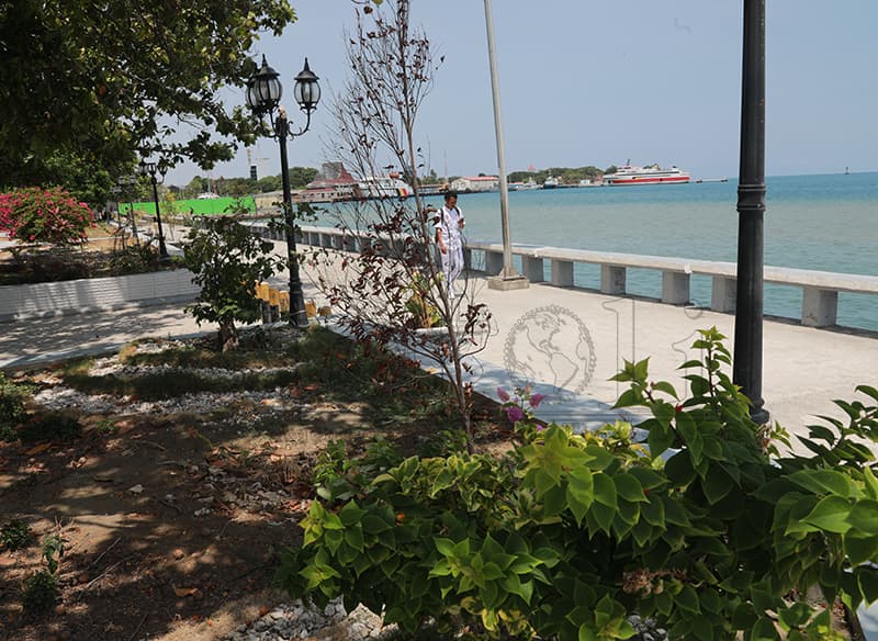 帝力市当局:将协调政府维护花园照明