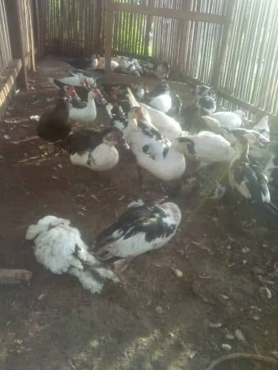 SEFOPE向7个自主就业团体提供资金支持