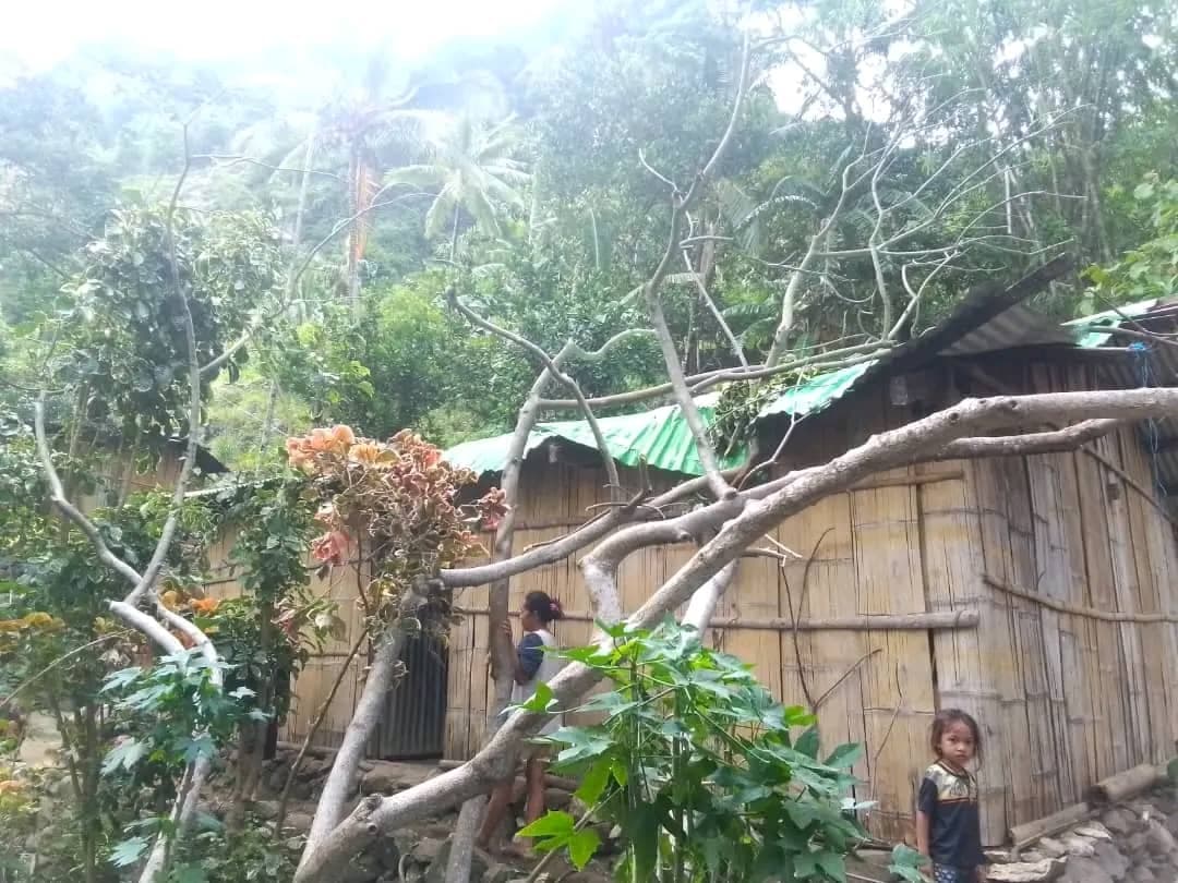 包考民防局:39所房屋受损,3人死亡