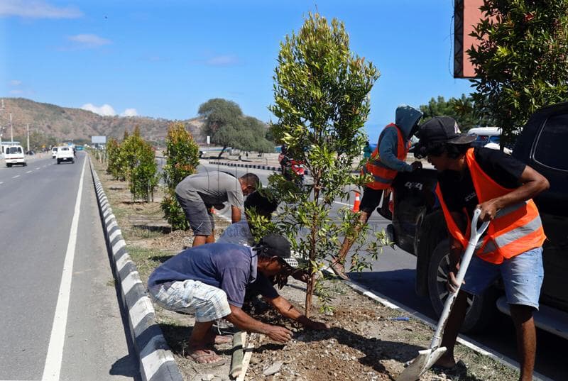 帝力礼宾道路绿化工程启动:Tasi-tolu至Rai-kotu段植树