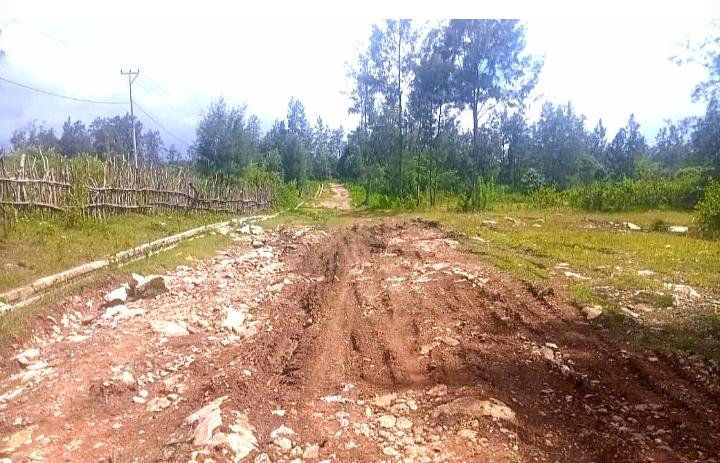 维克拉市公共工程局长：乡村公路修复项目共9个包段