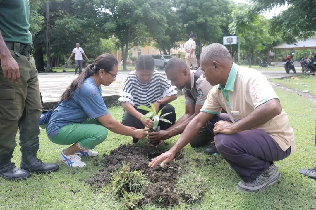 欧库西农业部门：在努姆贝教区种70棵树绿化环境