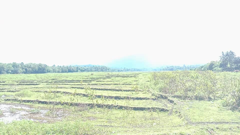 七省土壤可行性研究启动 预算60万美元