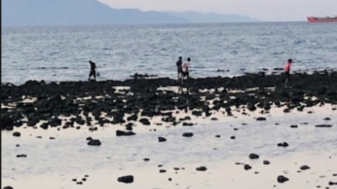 帝力退潮期民众赶海捕鱼维持生计