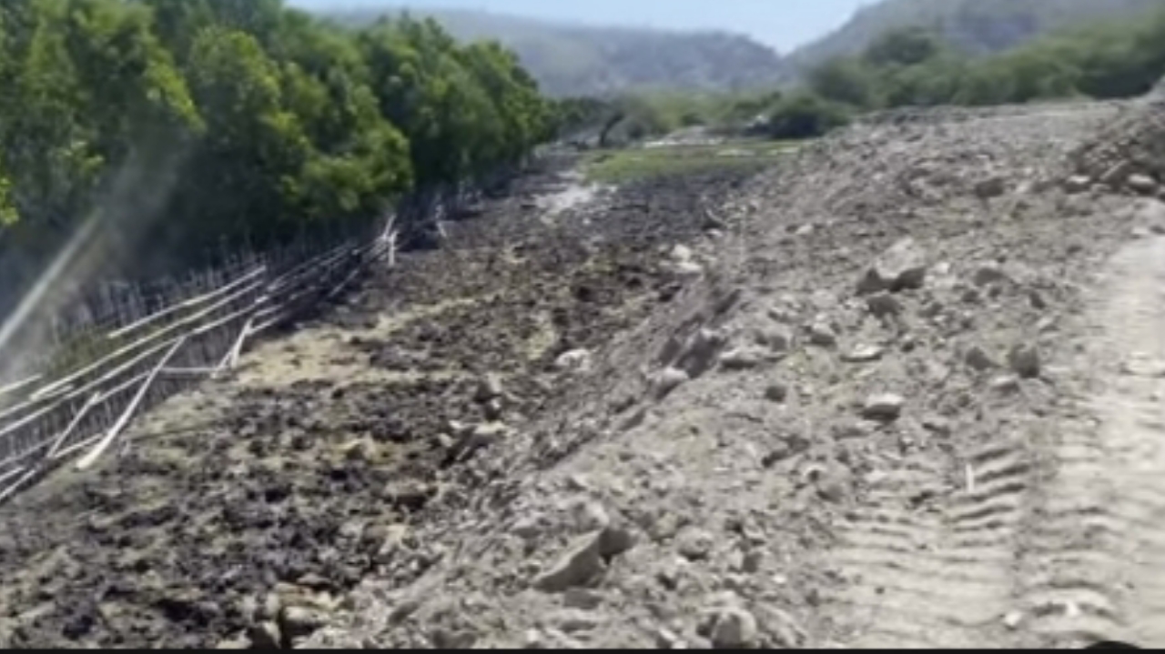 蒂巴尔红树林面临填土作业破坏威胁