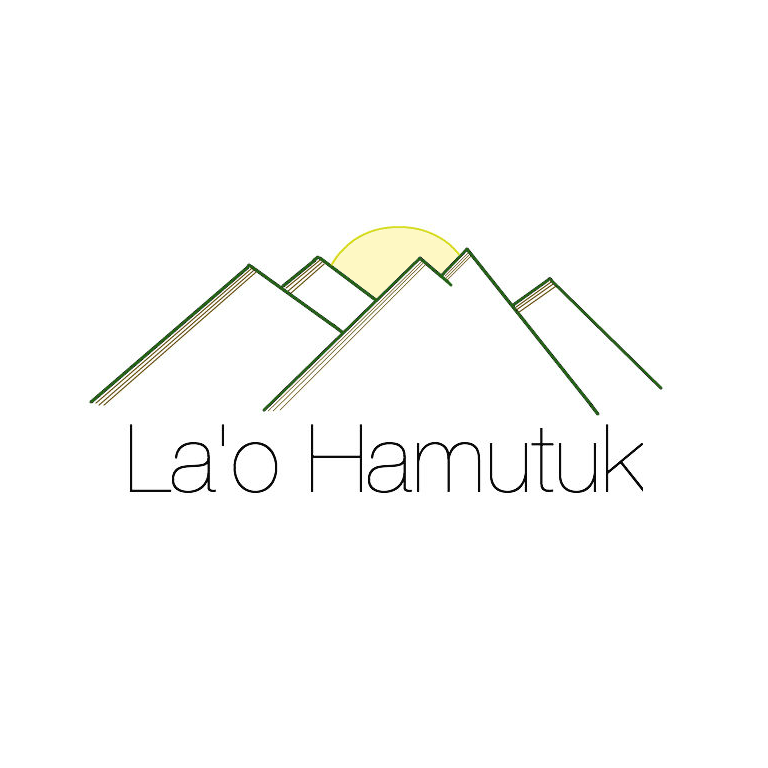 拉奥·哈穆图克：改革石油基金咨询委员会而非解散