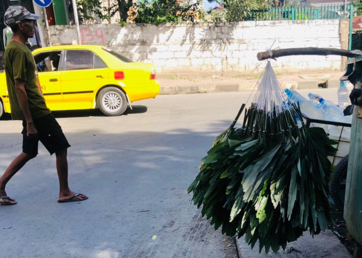 帝力棕枝上市忙,小贩沿街叫卖