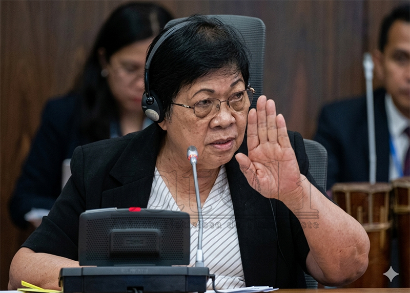 议长：诽谤刑事化法案下周开始一般性讨论