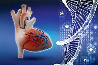 拜鲁皮特诊所：第一季度登记20多名心脏病患者