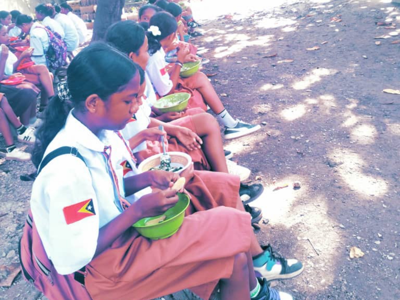 教育部：学校营养餐产品不足可用其他食物替代
