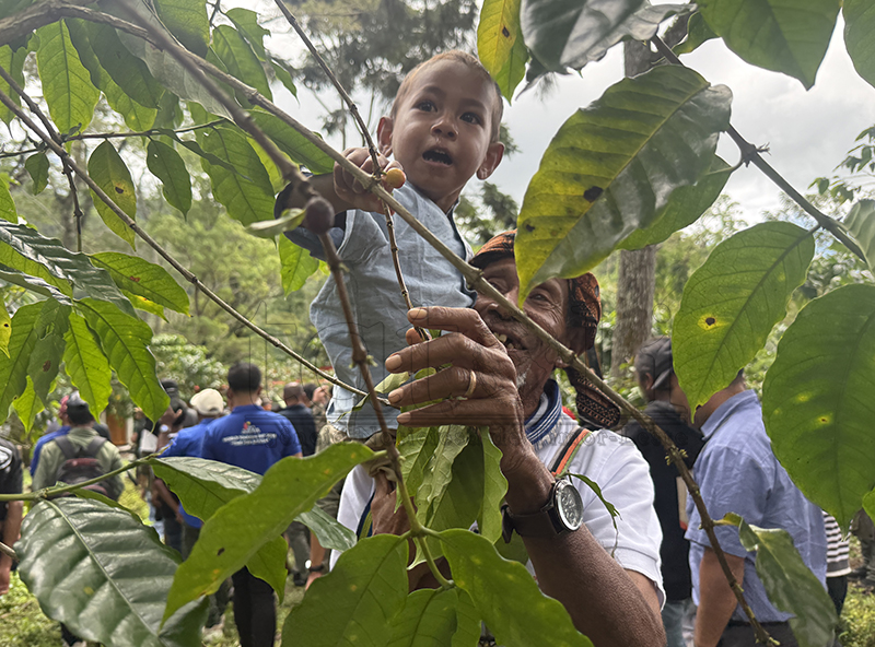 Leobali咖啡中心举办咖啡节推动社区旅游