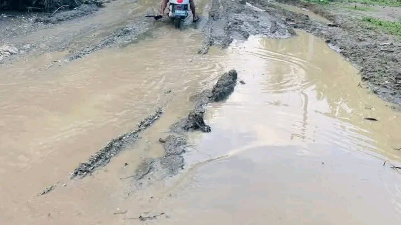 经济观察家:农村道路泥泞折射政府监管不力