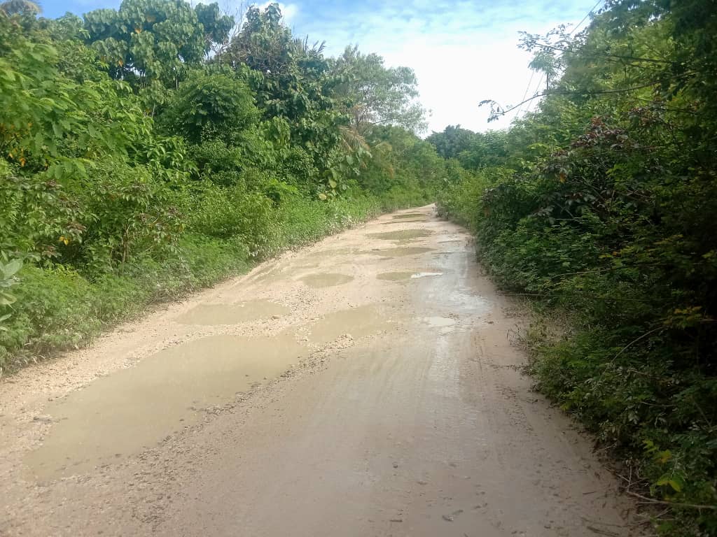 公共工程部：已完成卢卡至拉库塔道路设计