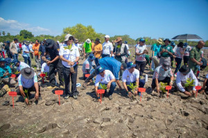 759034225 122226569678053365 8232917856390667642 n 300x200 Timor Leste Reforça o Compromisso com a Conservação dos Mangais e a Restauração dos Ecossistemas