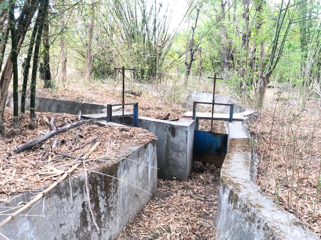 局长：利基萨1323公顷稻田因缺水荒废